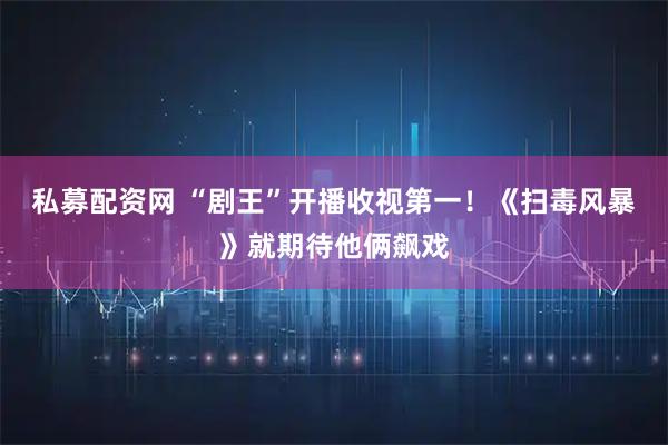 私募配资网 “剧王”开播收视第一！《扫毒风暴》就期待他俩飙戏